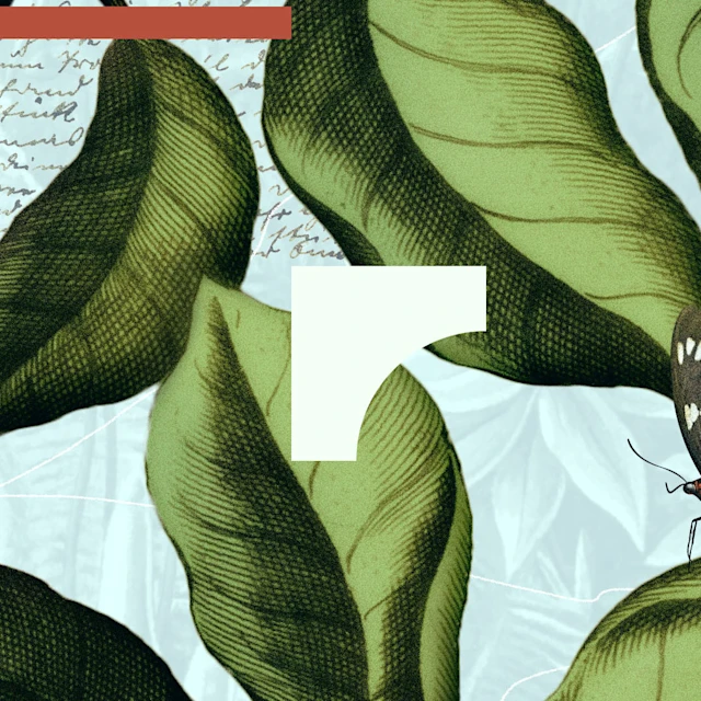 വിശ്വാസത്താൽ മാത്രമുള്ള നീതീകരണം